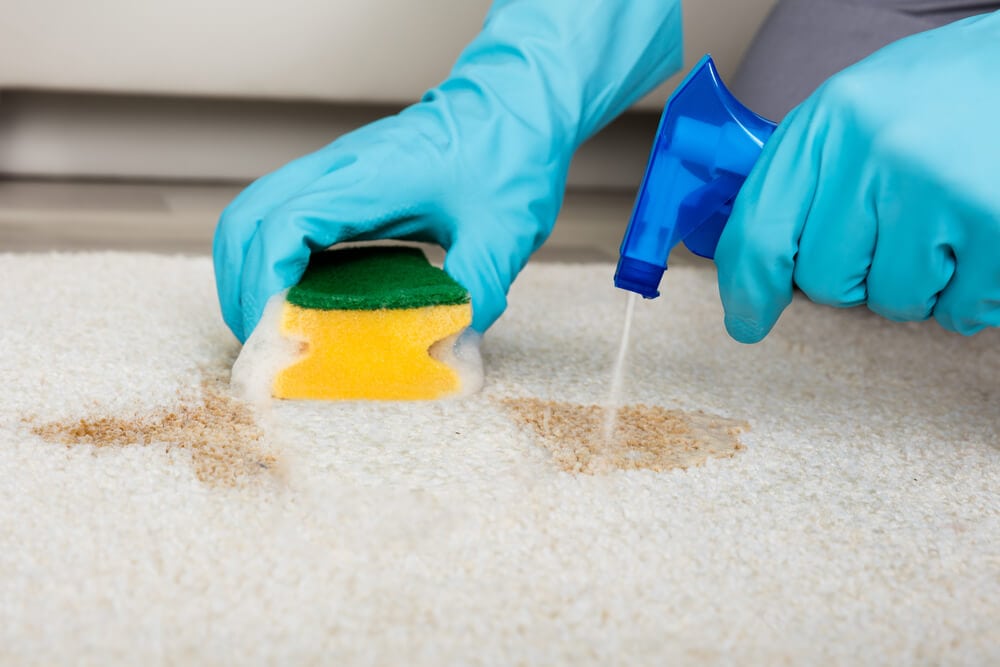 Would these solutions be suitable for deep cleaning carpets
